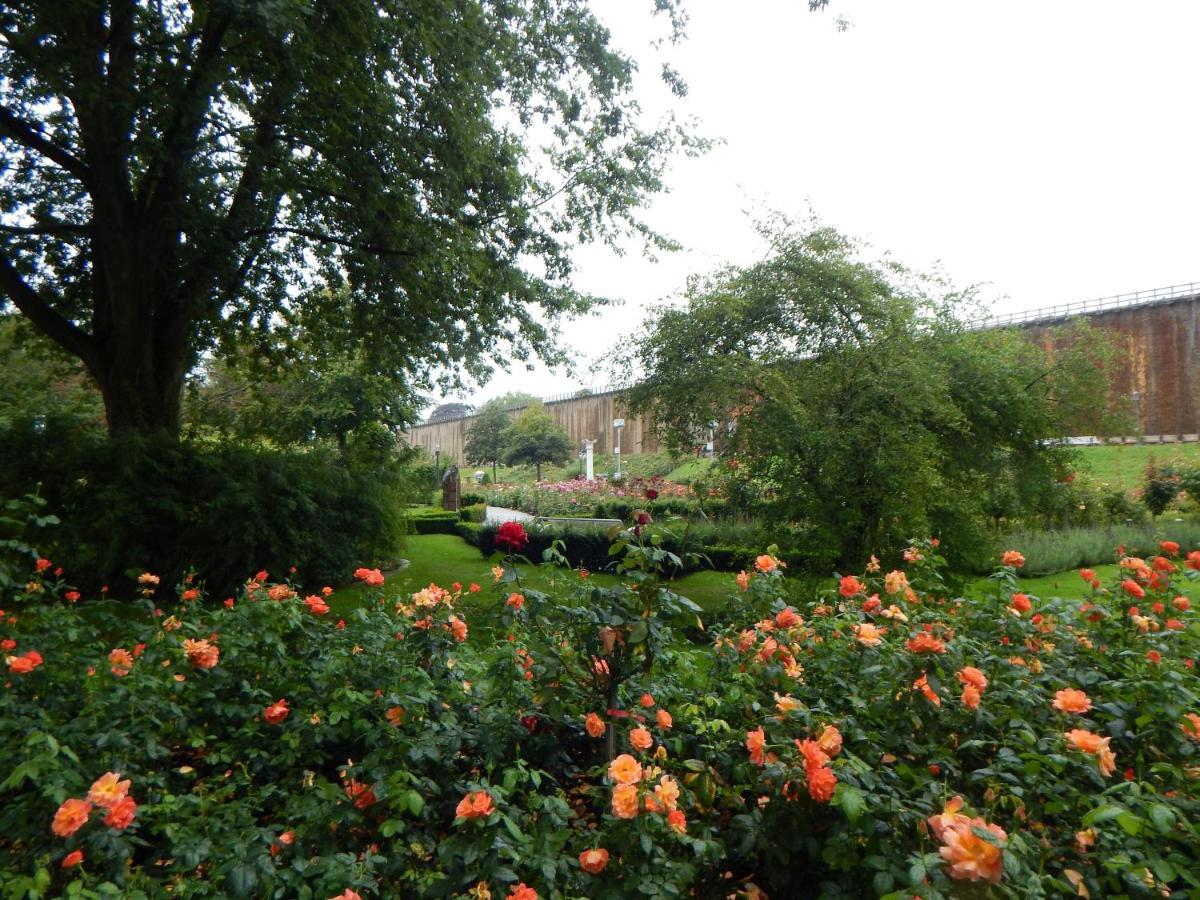 Hotel Villa Luise Bad Rothenfelde Dış mekan fotoğraf
